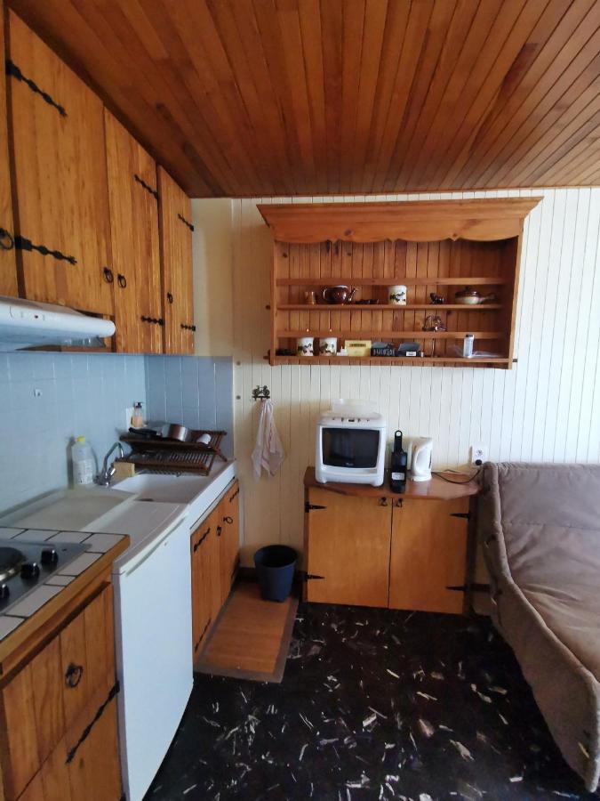Studio 2P, Proche Pistes, Reduction Materiel Ski Διαμέρισμα Chamrousse Εξωτερικό φωτογραφία